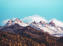 乐鱼体育下载：让掌心成为你的专属体育场